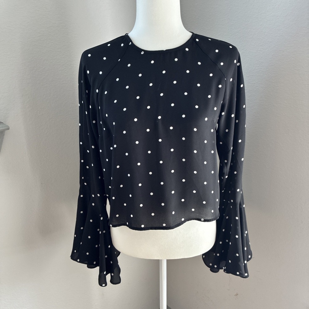 Sheer Black Polka Dot Crop Blouse Flare Bell Sleeve Whimsigoth Dark Romantic